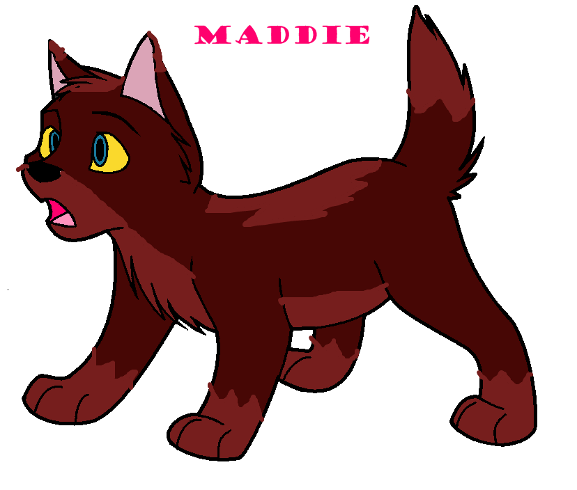 Maddie.png