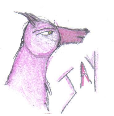 jay.JPG