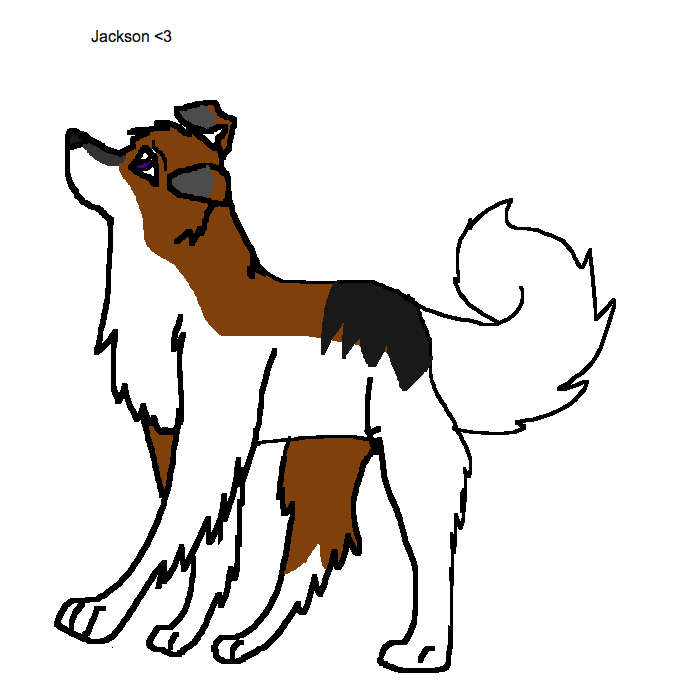 jackson3.png