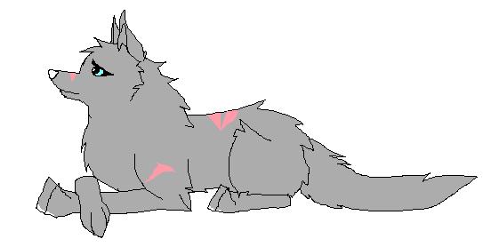 Saff.JPG