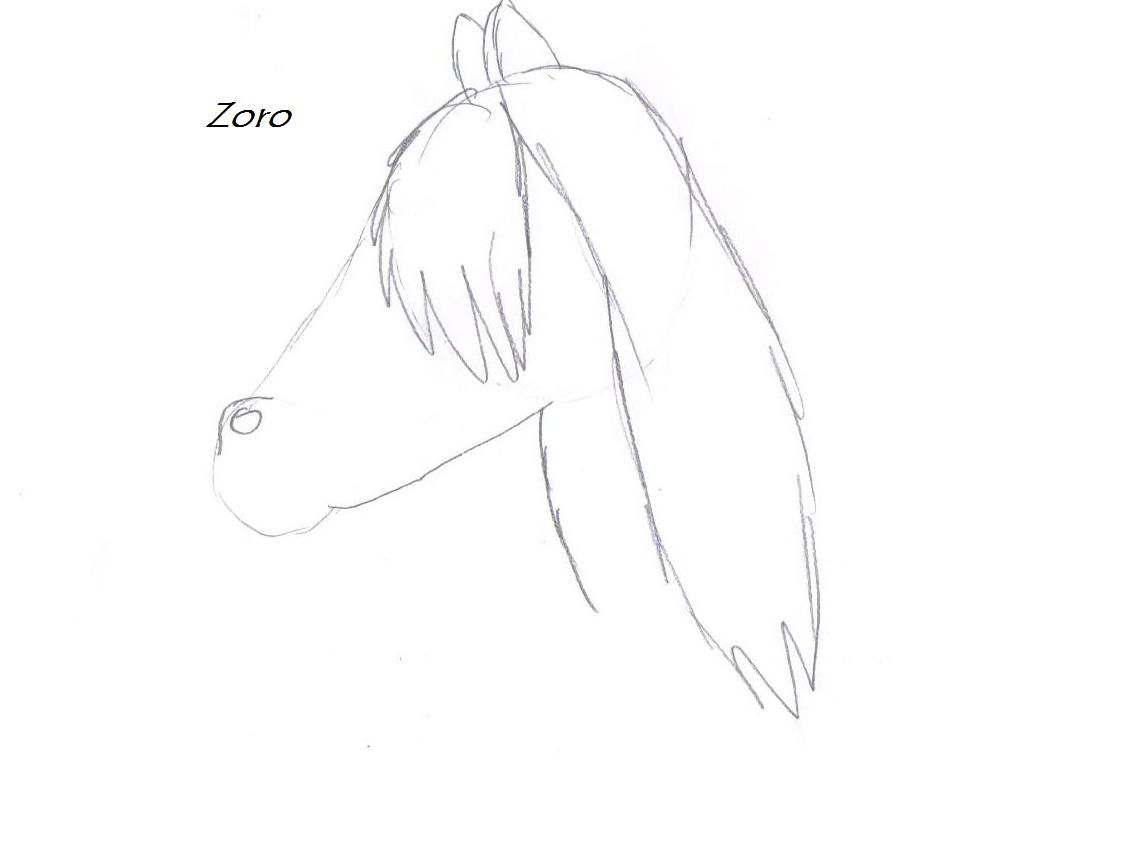 zoro.jpg