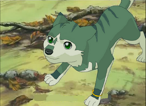 Apolloav.png