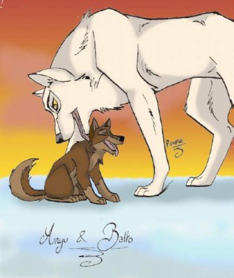 Aniu & Balto playing.jpg