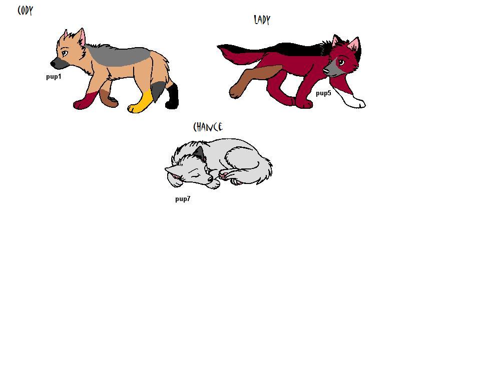 packpups.jpg
