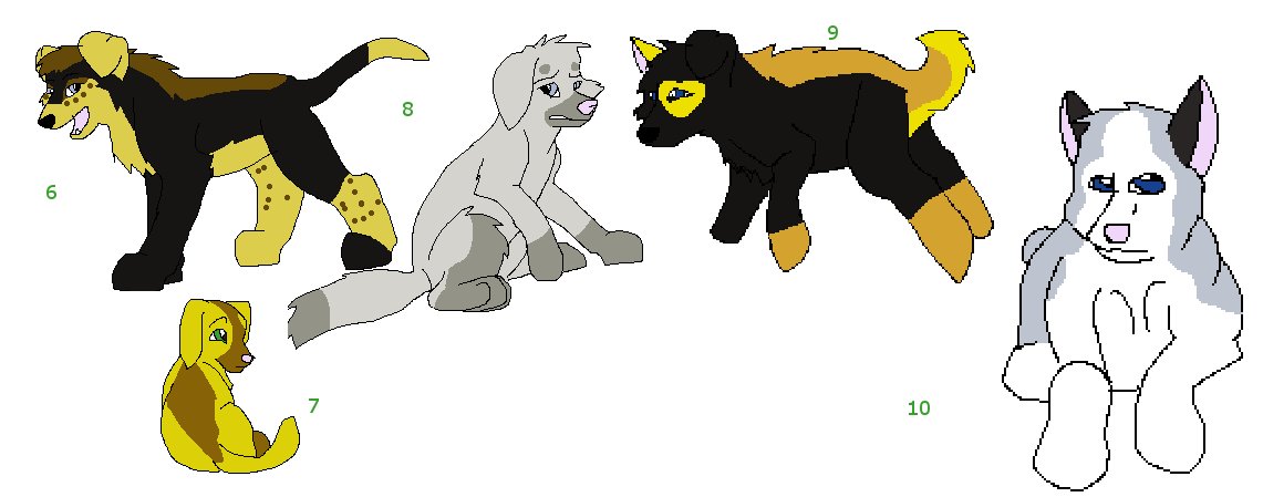 adopt2.JPG