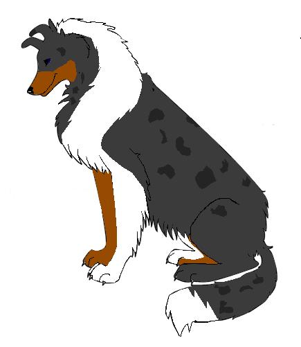 Bark12345245.jpg