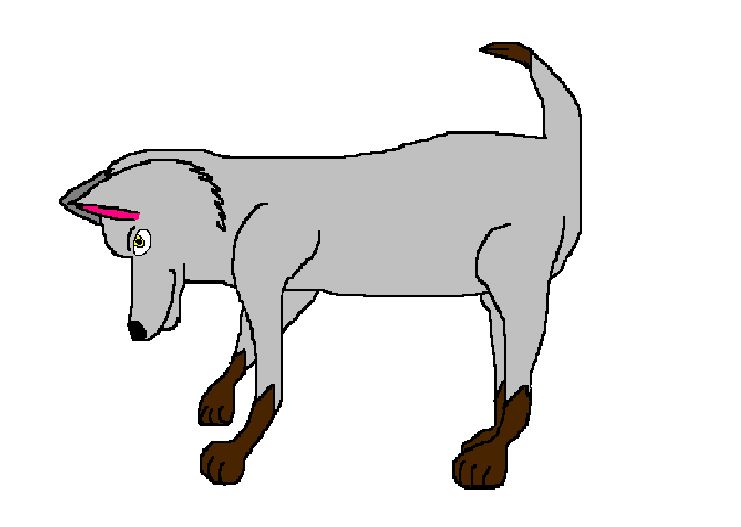 scruff.PNG