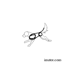 imator_animation.gif