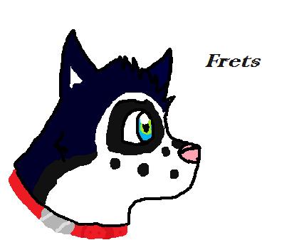 Frets.jpg