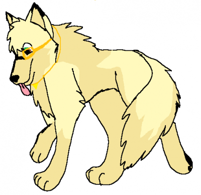 wanderdownthestreet.png
