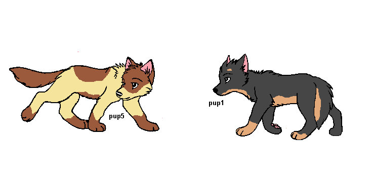 pack%20pups.PNG