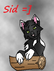 Sid Vicious.png