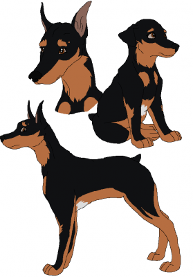 Missy Jo.png