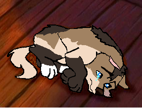 dde.PNG