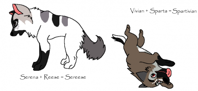 FAN PUPPERZ.PNG