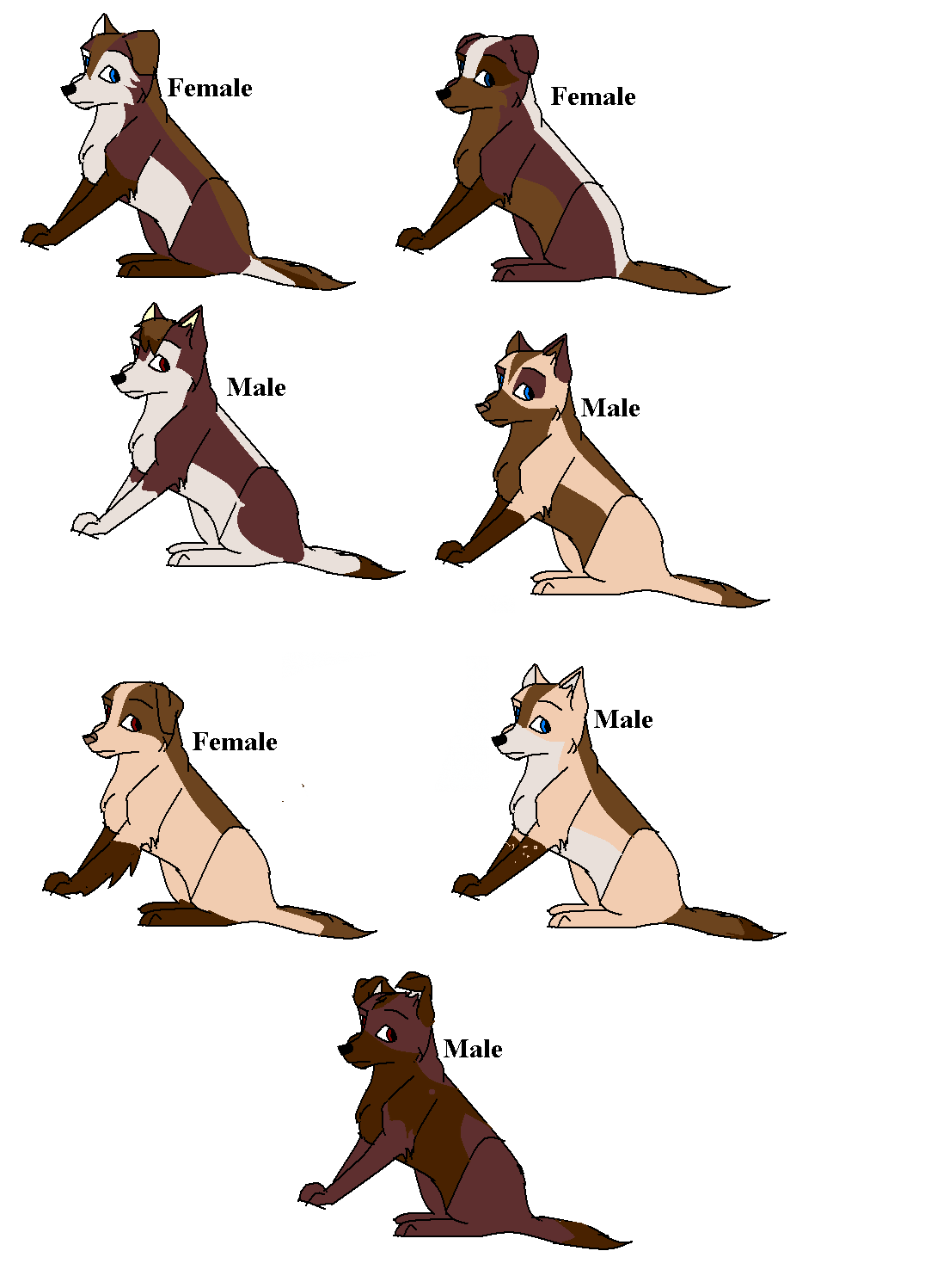 pupsforadoption.PNG