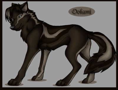 Black_wolf.jpg
