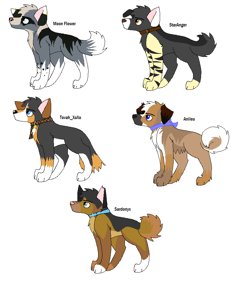 dogs.png