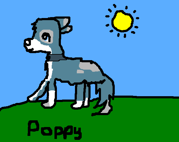 anotherpic.PNG