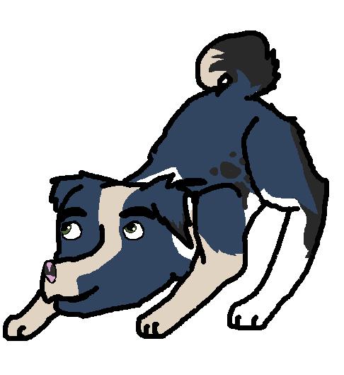 jon.jpg