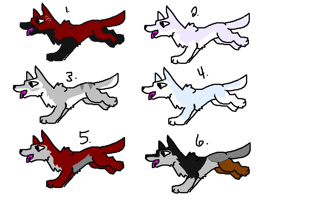 adoption pups.JPG