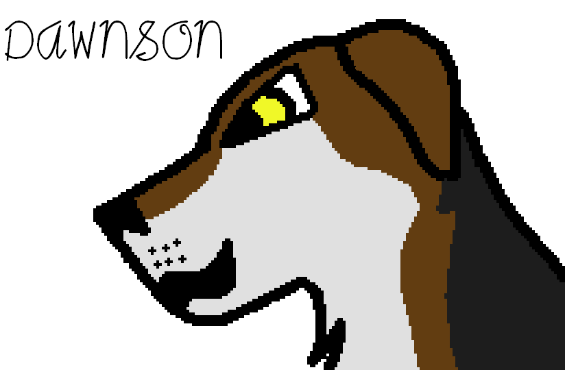 Dawnson head shot!.PNG