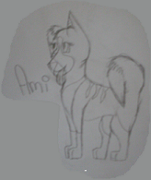 Ami.png