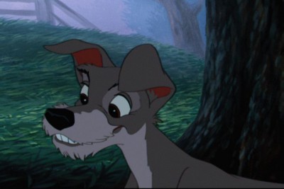 ladyandthetramp672.jpg