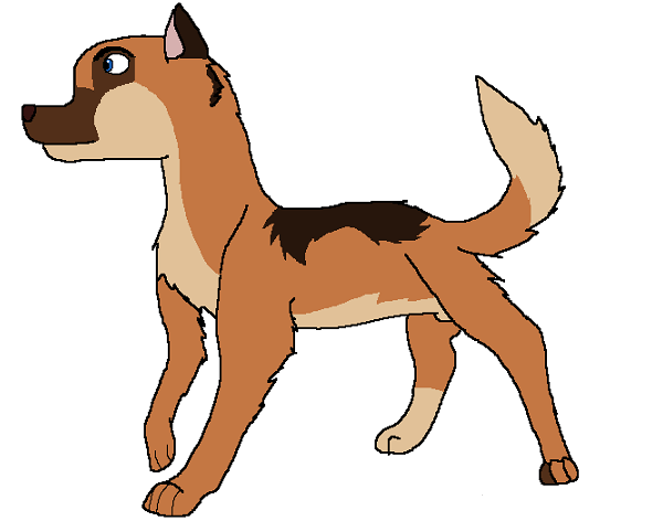 lm.PNG