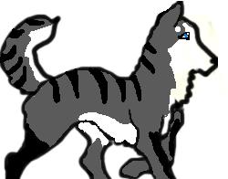 Hello there.JPG