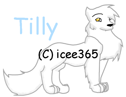 Tilly for balto source.GIF