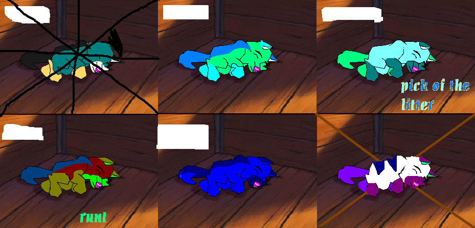 tands.PNG