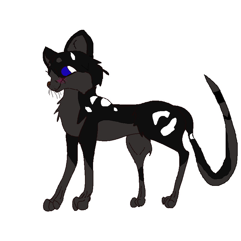 black.png