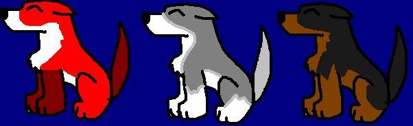 sled dogs.jpg