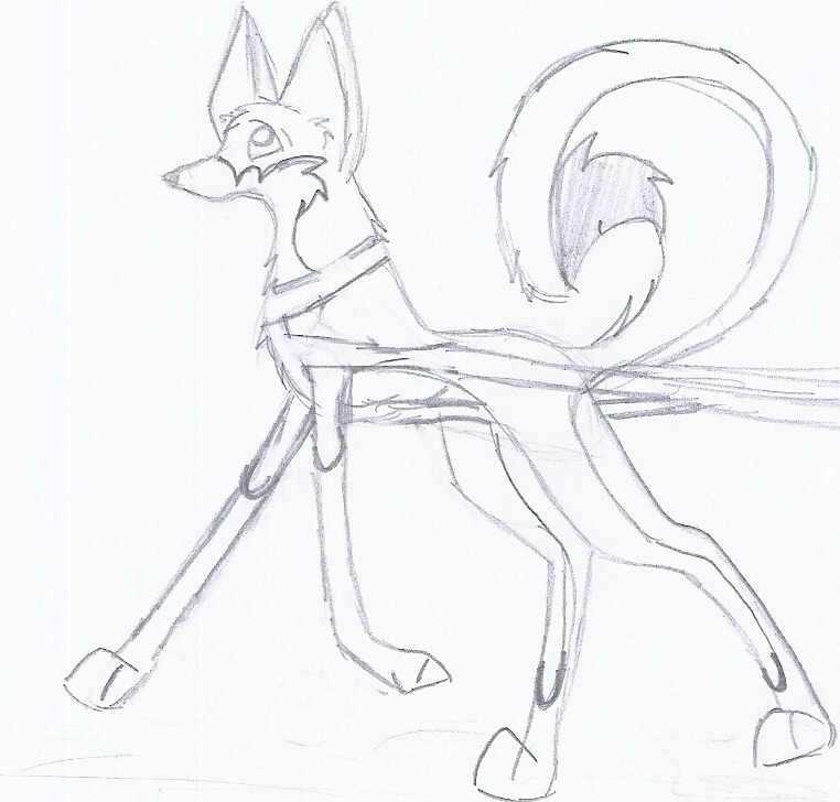 running husky.jpg