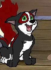 Dingo.jpg