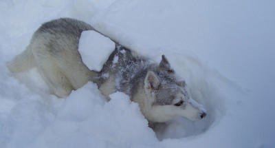 100_7240.JPG