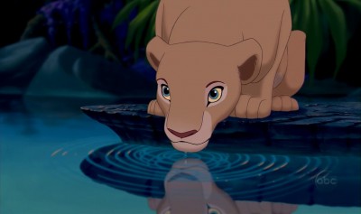 Nala.jpg