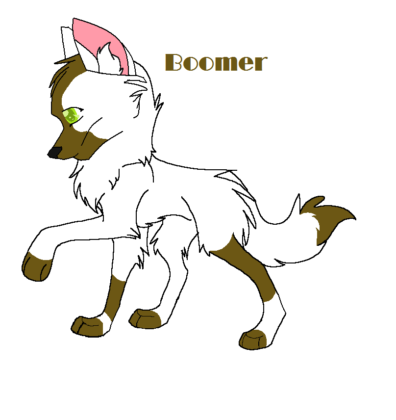 boomer.png
