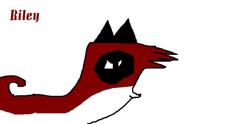 Riley A.M..JPG