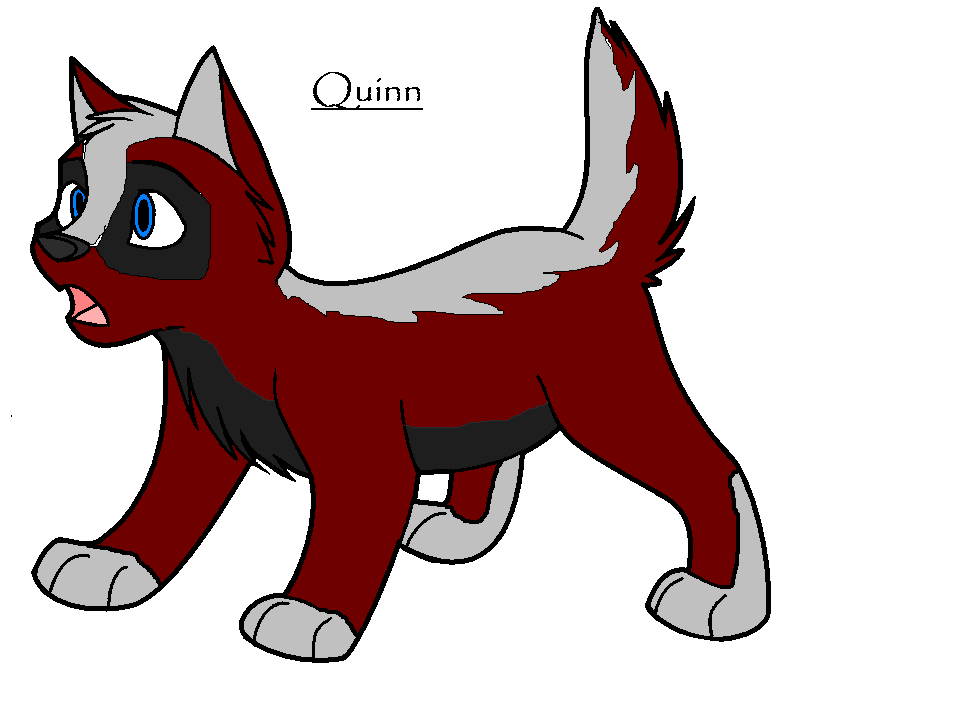 Quinn.gif