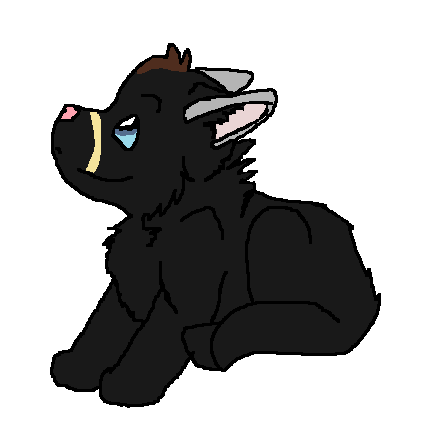 B9.png