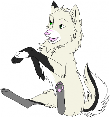 Wolf_or_Dog_Base_by_emo_x_loss.png