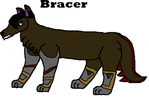 Bracer---Wheel-Dog.gif