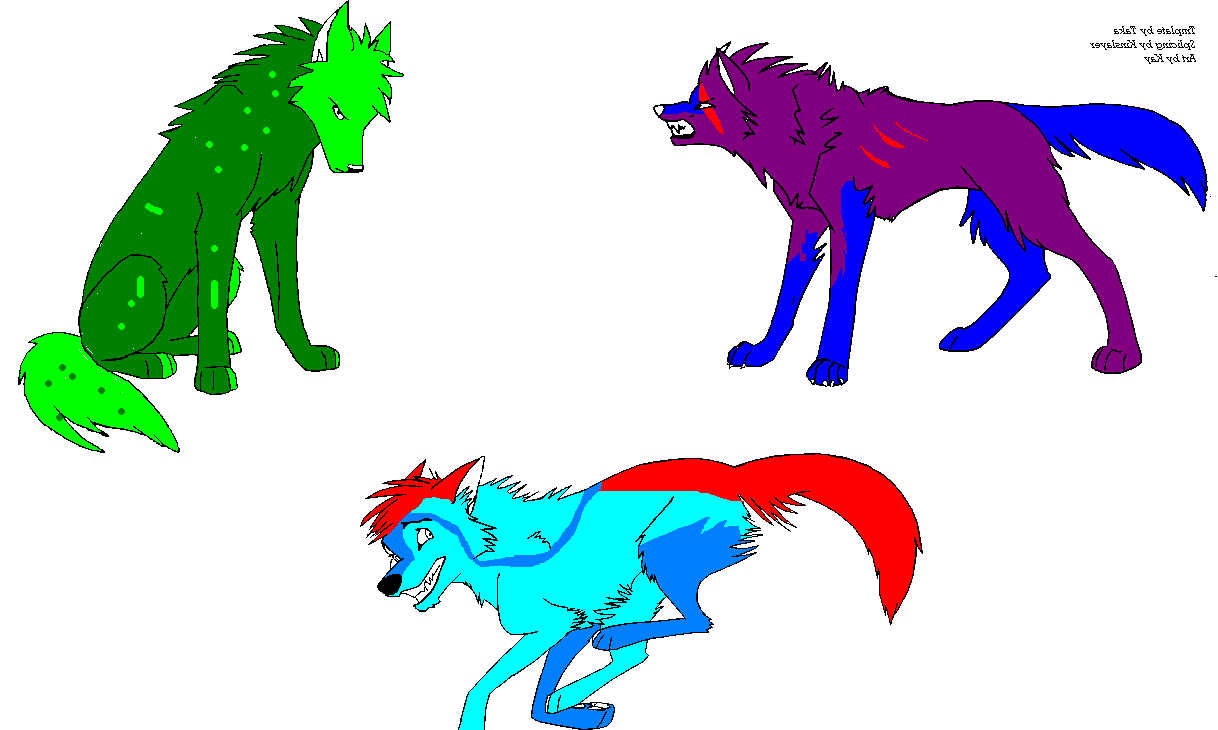 ncf.PNG