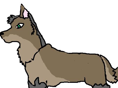 inwuff.JPG