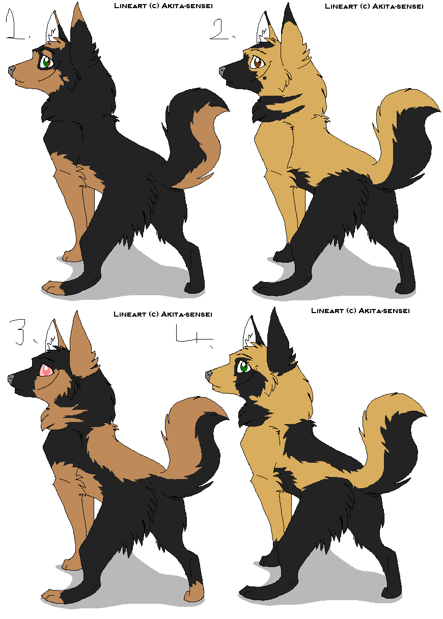 shephered pups.PNG