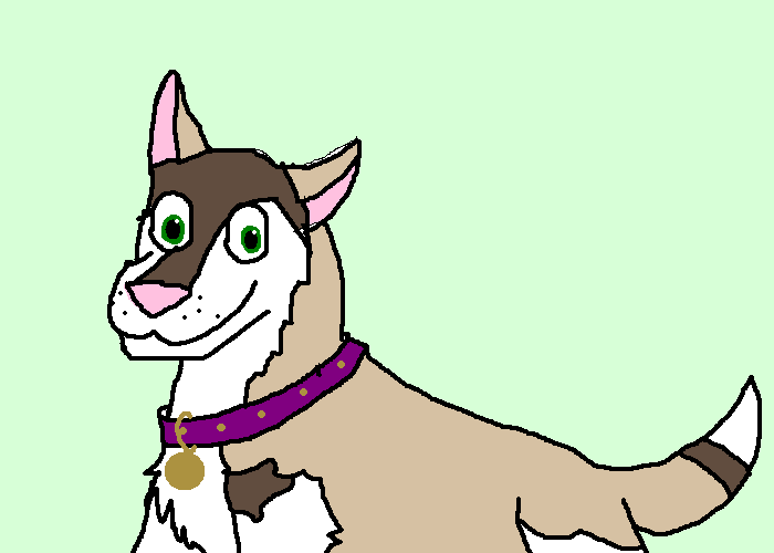 aisha.PNG