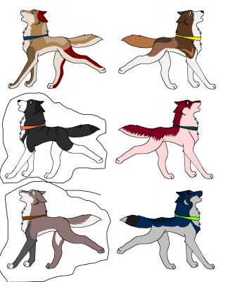 Wolf_lover_10__s_batch15509.png