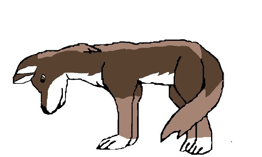 Sniper.jpg